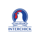 Interchick